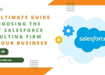 The Ultimate Guide to Choosing Salesforce Consultants for Nonprofits.pdf